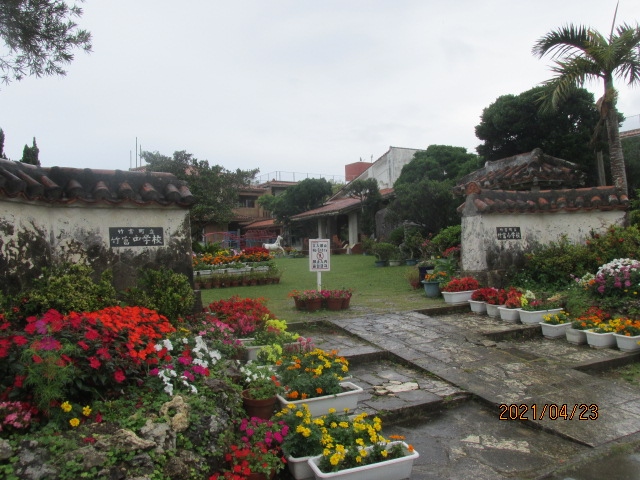 石垣再訪 ２４ 花に囲まれた竹富小中学校 竹富島 沖縄県 の旅行記 ブログ By ちゃおさん フォートラベル