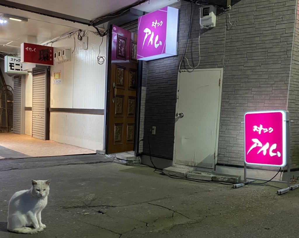 年8月 Jalどこかにマイルで行く 北海道 苫小牧編 苫小牧 北海道 の旅行記 ブログ By Hiloiukiさん フォートラベル