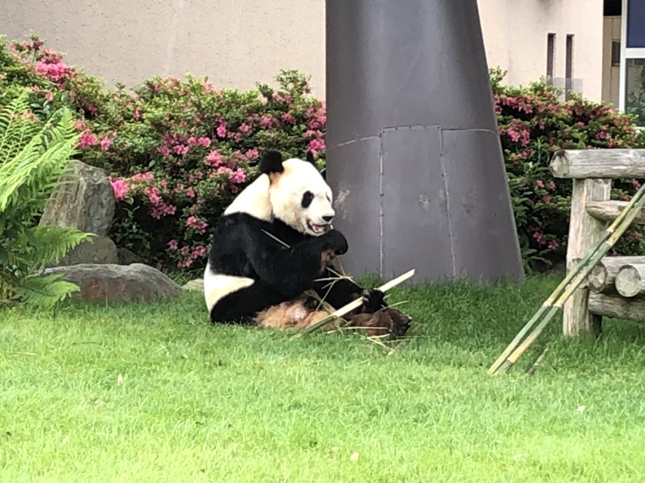 アドベンチャーランド1 ケニア号 南紀白浜 和歌山県 の旅行記 ブログ By タヌチーノさん フォートラベル アドベンチャーランド1 ケニア号 南紀白浜 和歌山県 の旅行記 ブログ By タヌチーノさん フォートラベル