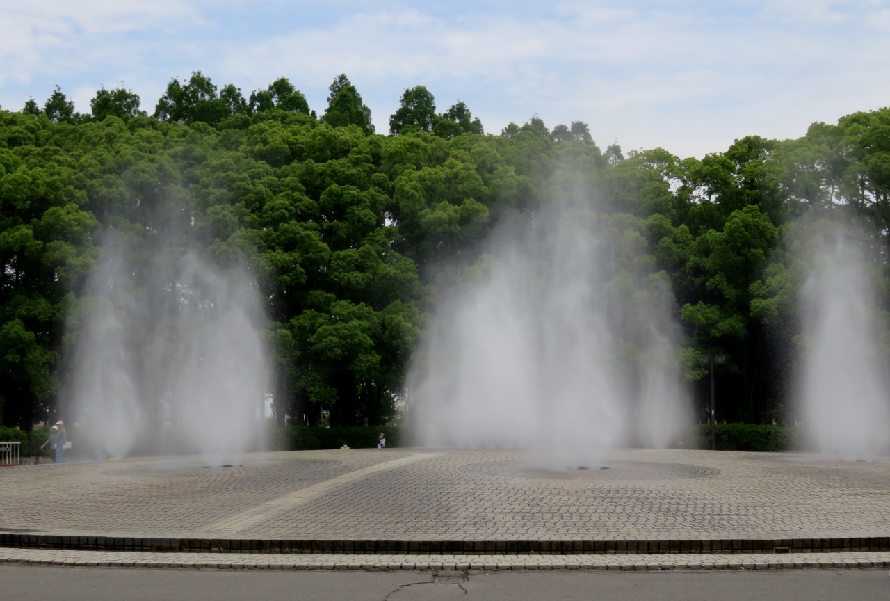 21初夏 庄内緑地公園のバラ 1 10 6月6日 1 ノウゼンカズラ キンシバイ バラ園 ショッキング ブルー 名古屋 愛知県 の旅行記 ブログ By 旅人のくまさんさん フォートラベル 21初夏 庄内緑地公園のバラ 1 10 6月6日 1 ノウゼンカズラ キンシバイ バラ園 ショッキング ブルー 名古屋 愛知県 の旅行記 ブログ By 旅人のくまさんさん フォートラベル