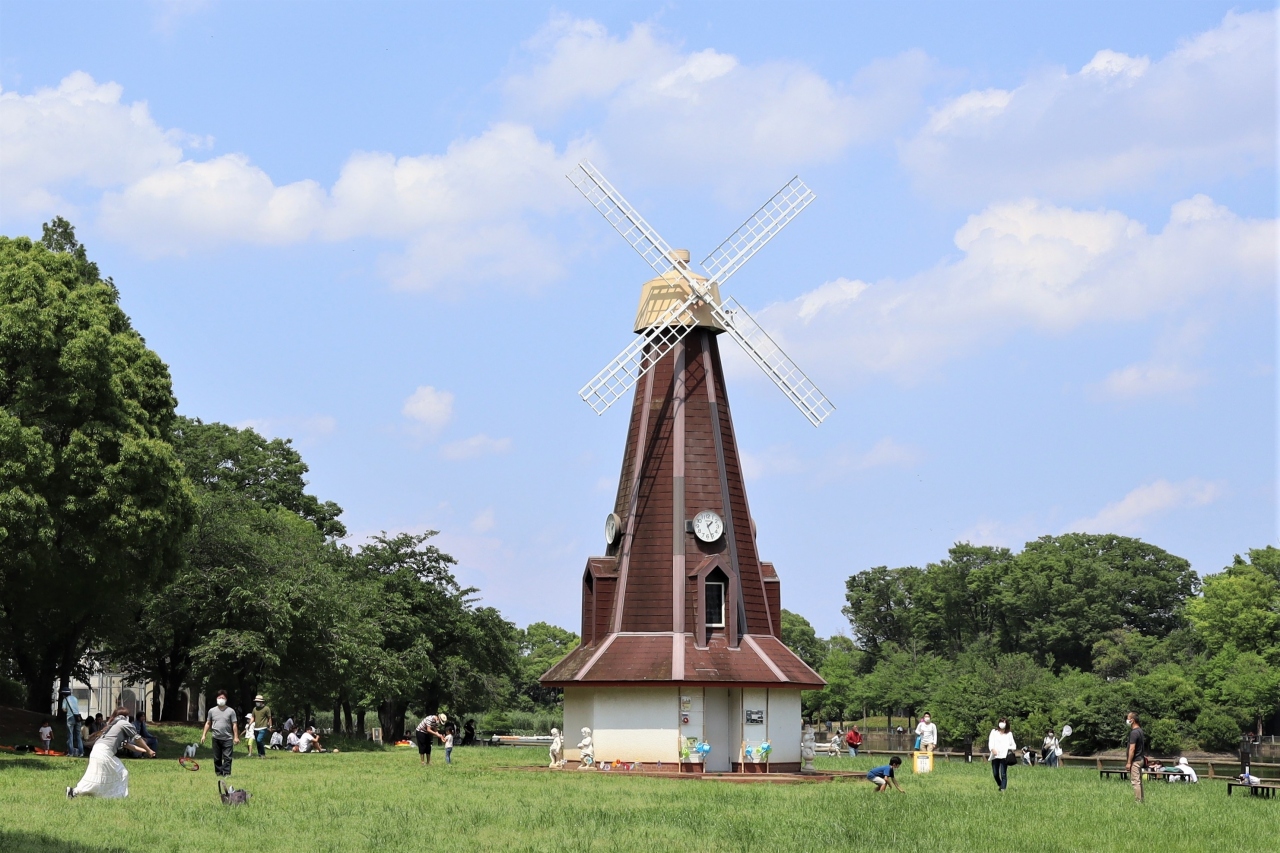 池で釣りができる公園 浮間公園 板橋 東京 の旅行記 ブログ By 東京おやじっちさん フォートラベル