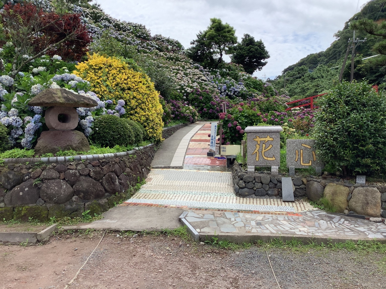 いこいの里園にあじさいを 大隅半島 鹿屋 垂水 志布志 肝属 鹿児島県 の旅行記 ブログ By あーちゃんさん フォートラベル いこいの里園にあじさいを 大隅半島 鹿屋 垂水 志布志 肝属 鹿児島県 の旅行記 ブログ By あーちゃんさん フォートラベル