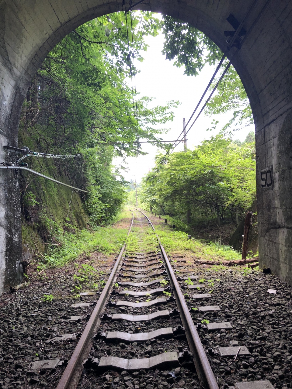 横川から軽井沢 廃線ウォーク ｓｌ乗車 高崎 群馬県 の旅行記 ブログ By Paricoさん フォートラベル