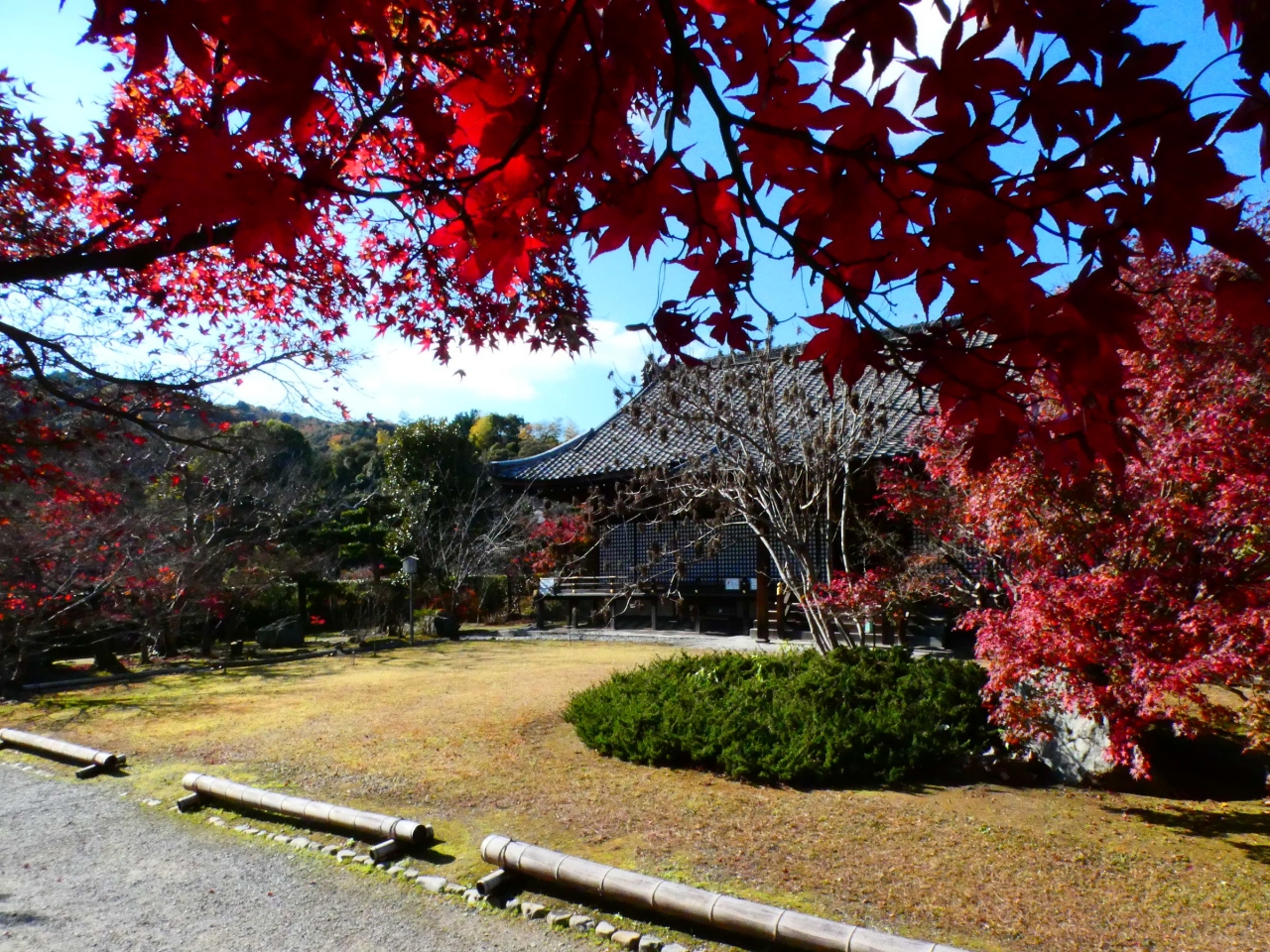 京都 山科 小野 勧修寺境内 Kajuji Temple Ono Yamashina Kyoto Jp 山科 京都 の旅行記 ブログ By ちふゆさん フォートラベル 京都 山科 小野 勧修寺境内 Kajuji Temple Ono Yamashina Kyoto Jp 山科 京都 の旅行記 ブログ By ちふゆさん フォートラベル