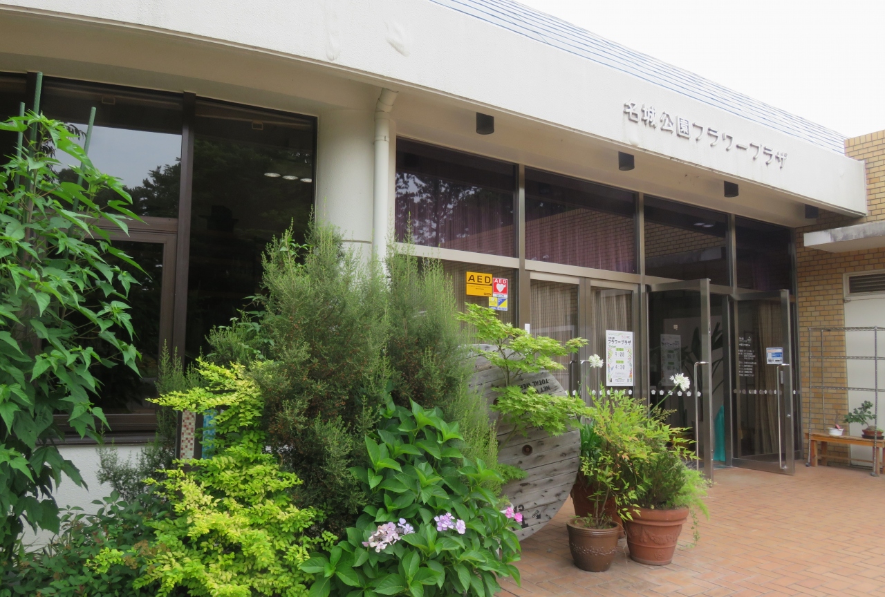 21初夏 名城公園のバラと植物 1 6 6月25日 1 御深井焼窯跡 フラワー プラザ バラ花壇 バレリーナ 名古屋 愛知県 の旅行記 ブログ By 旅人のくまさんさん フォートラベル 21初夏 名城公園のバラと植物 1 6 6月25日 1 御深井焼窯跡 フラワー プラザ バラ花壇 バレリーナ 名古屋 愛知県 の旅行記 ブログ By 旅人のくまさんさん フォートラベル
