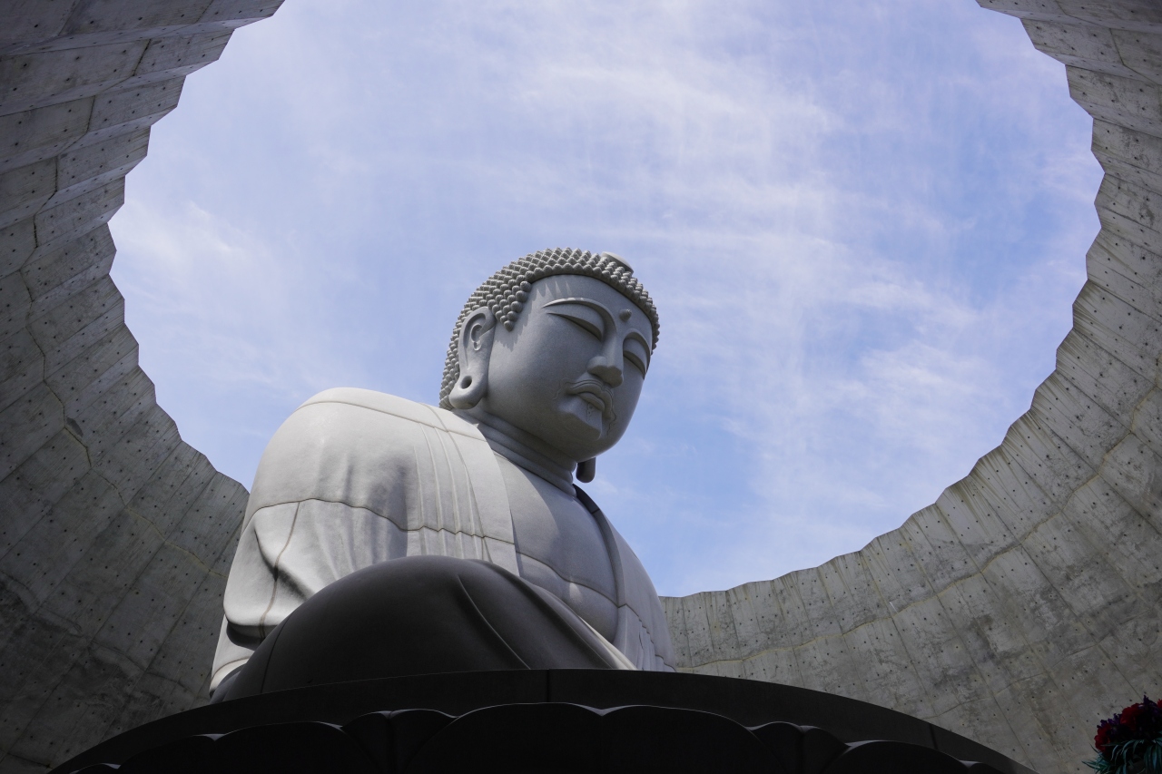 安藤忠雄頭大仏
