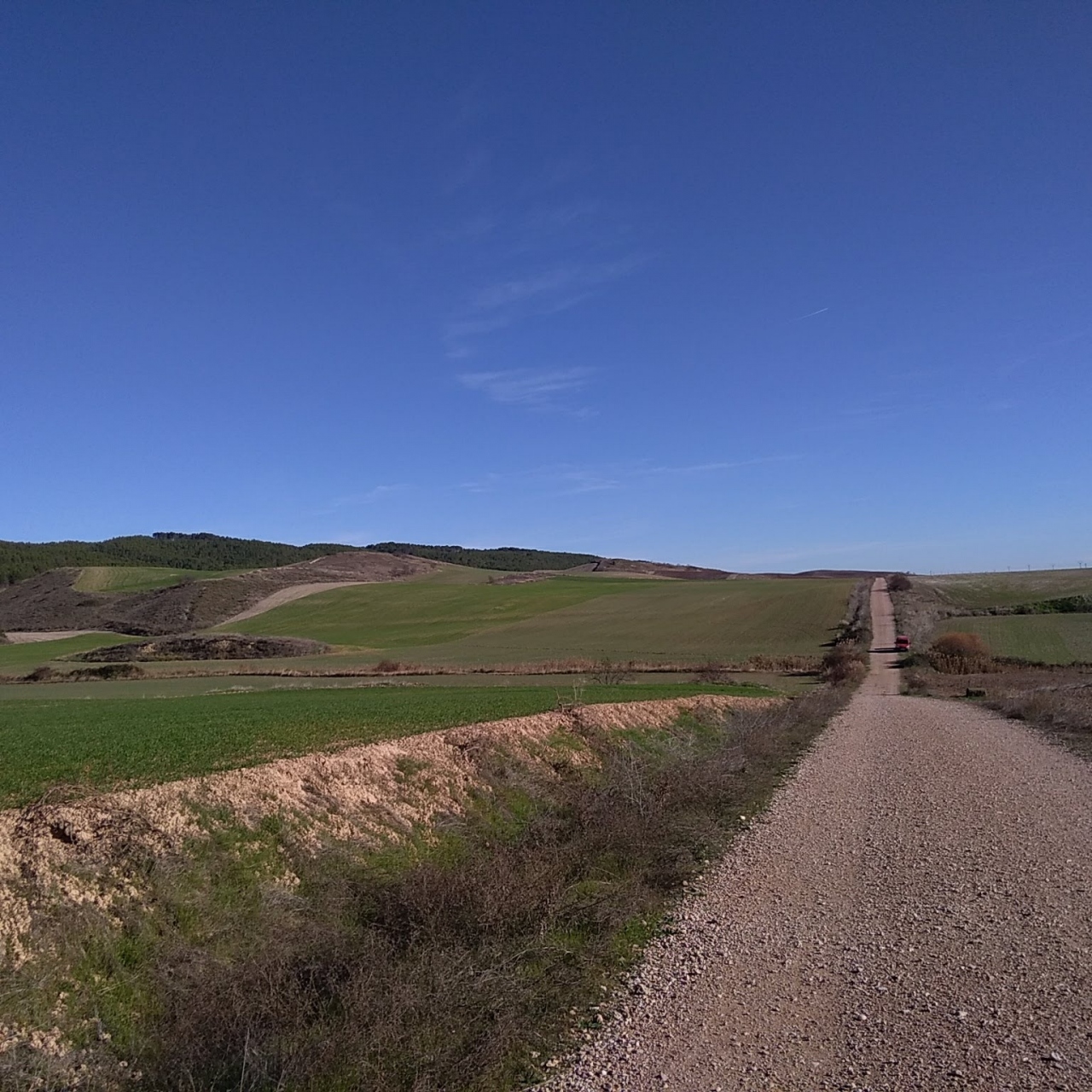 『サンティアゴ巡礼②エステーリャ~ブルゴス』ラリオハ地方(スペイン)の旅行記・ブログ by thomasさん【フォートラベル】