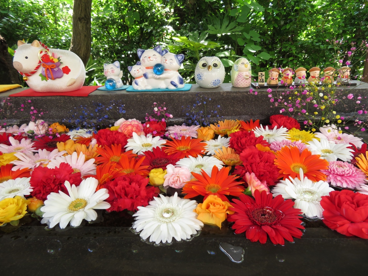 法輪寺の花手水 2021 早稲田 高田馬場 東京 の旅行記 ブログ By Takekoさん フォートラベル 法輪寺の花手水 2021 早稲田 高田馬場 東京 の旅行記 ブログ By Takekoさん フォートラベル