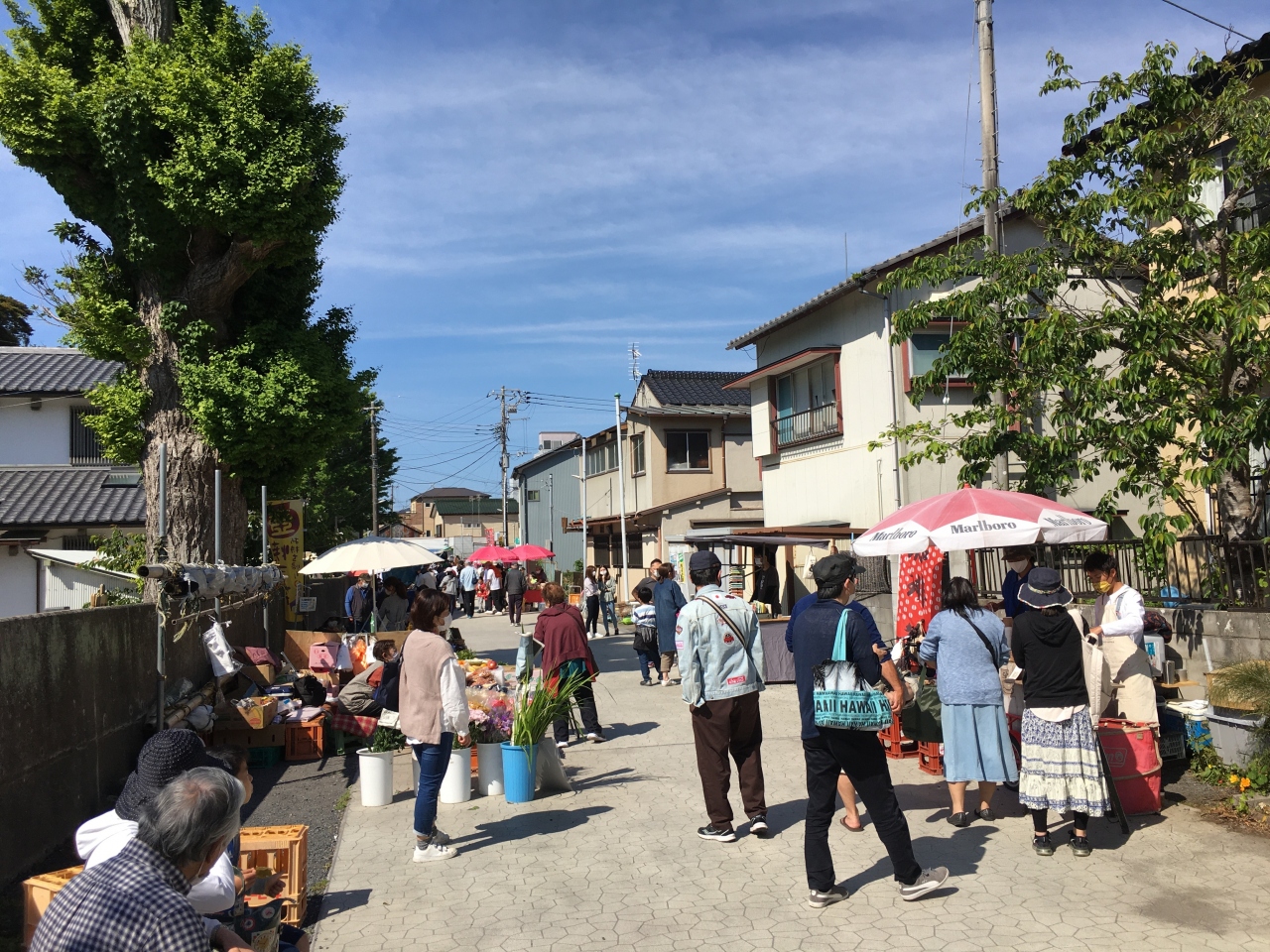 日本三大朝市の一つといわれる外房の漁村で開催される勝浦朝市へ 勝浦 千葉県 の旅行記 ブログ By てくてくさん フォートラベル