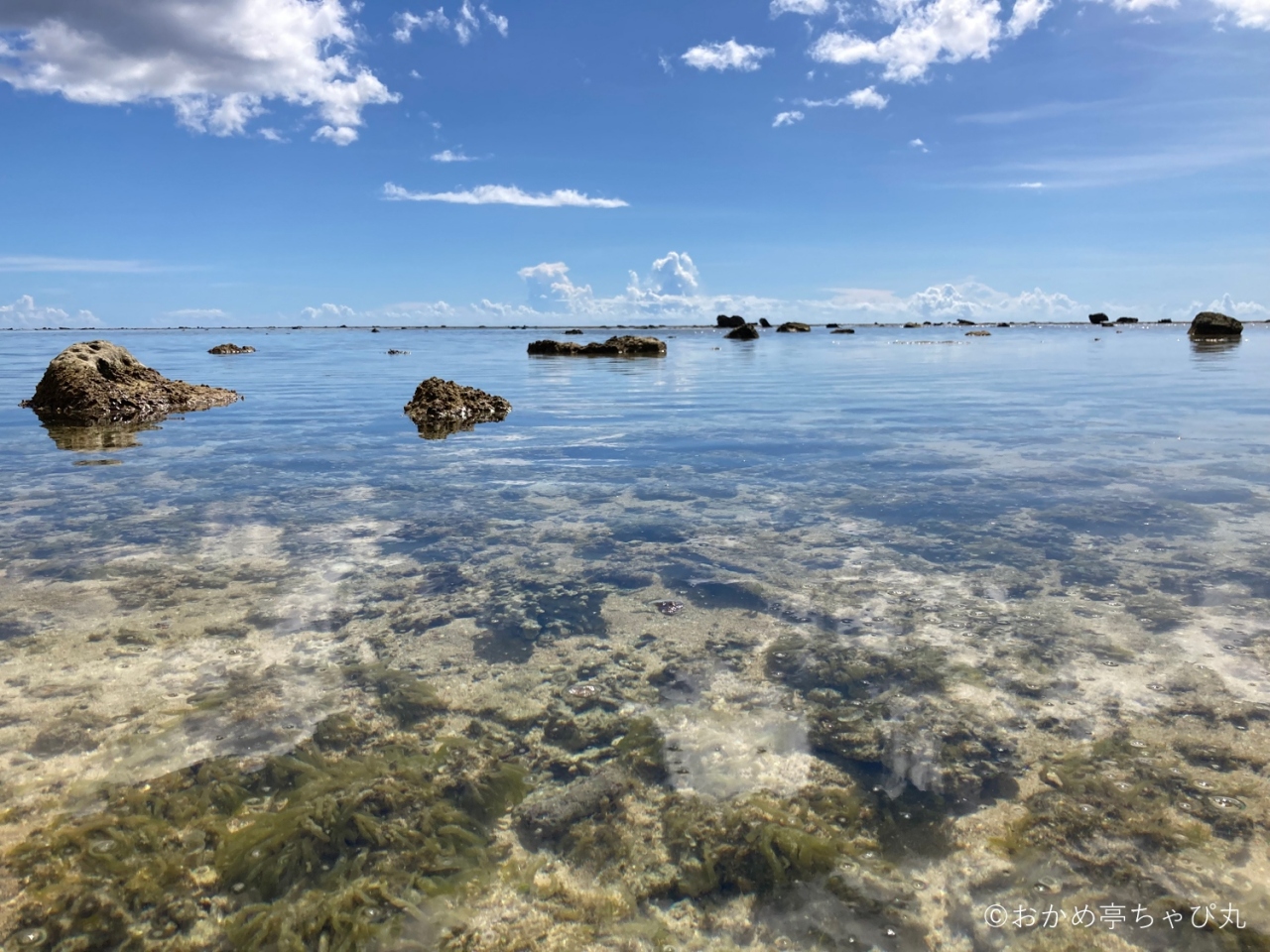 西表ひとり旅 ｰ 早朝終わりかけのサガリバナとお散歩編 ｰ 西表島 沖縄県 の旅行記 ブログ By おかめ亭ちゃぴ丸さん フォートラベル