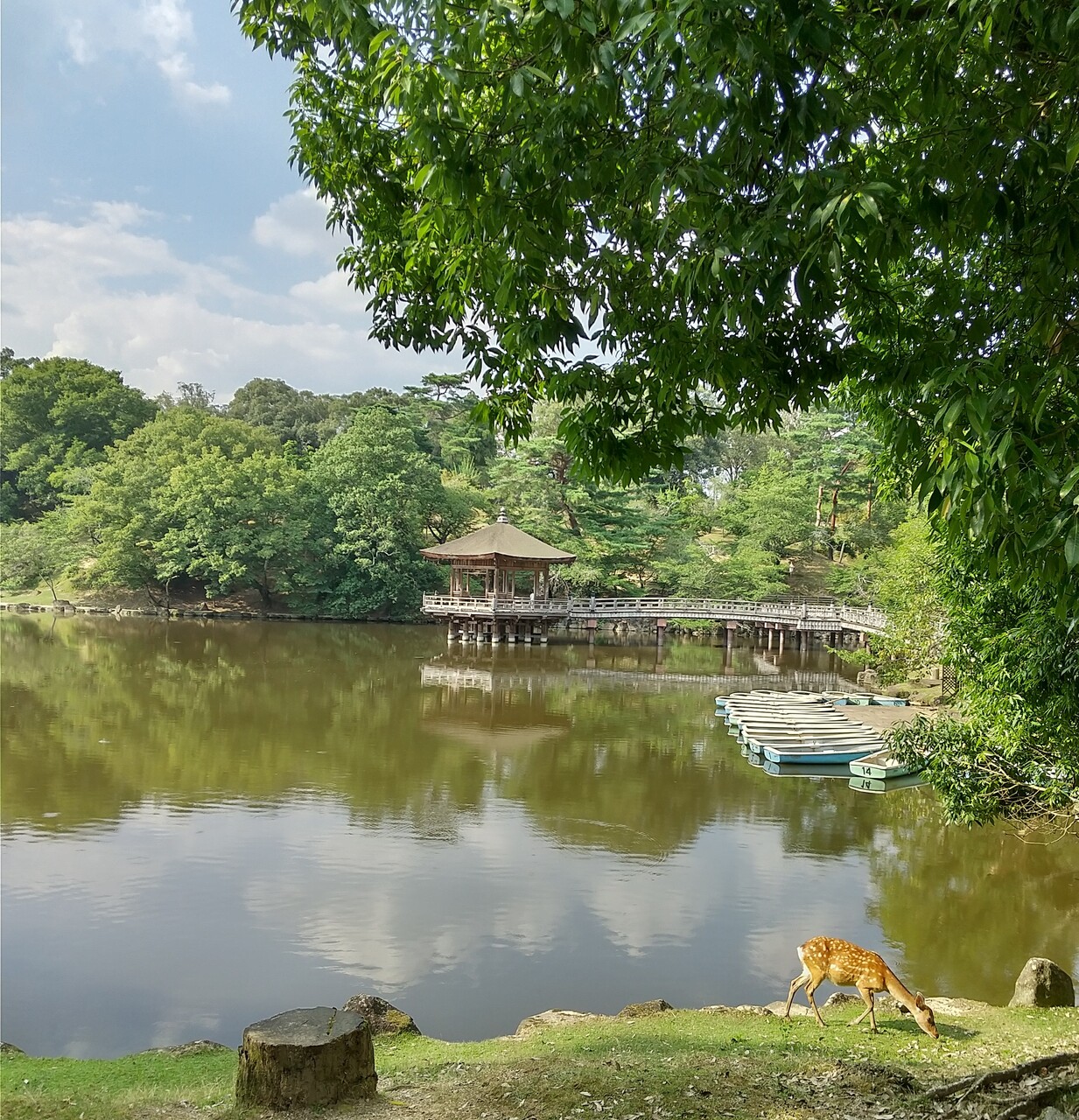 21夏 奈良の旅 奈良市 奈良県 の旅行記 ブログ By Sassyさん フォートラベル 21夏 奈良の旅 奈良市 奈良県 の旅行記 ブログ By Sassyさん フォートラベル