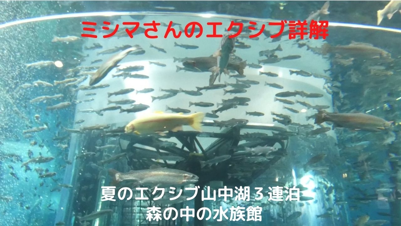 １０ 夏のエクシブ山中湖３連泊 山梨県立富士湧水の里 森の中の水族館 忍野 山梨県 の旅行記 ブログ By ミシマさん フォートラベル