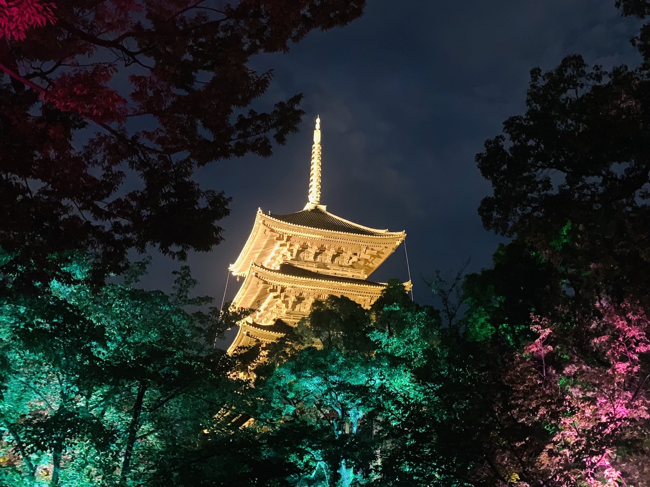 チームラボ 東寺 光の祭で夏満喫 京都ひとり旅 京都の旅行記 ブログ By Nerorinnさん フォートラベル チームラボ 東寺 光の祭で夏満喫 京都ひとり旅 京都の旅行記 ブログ By Nerorinnさん フォートラベル