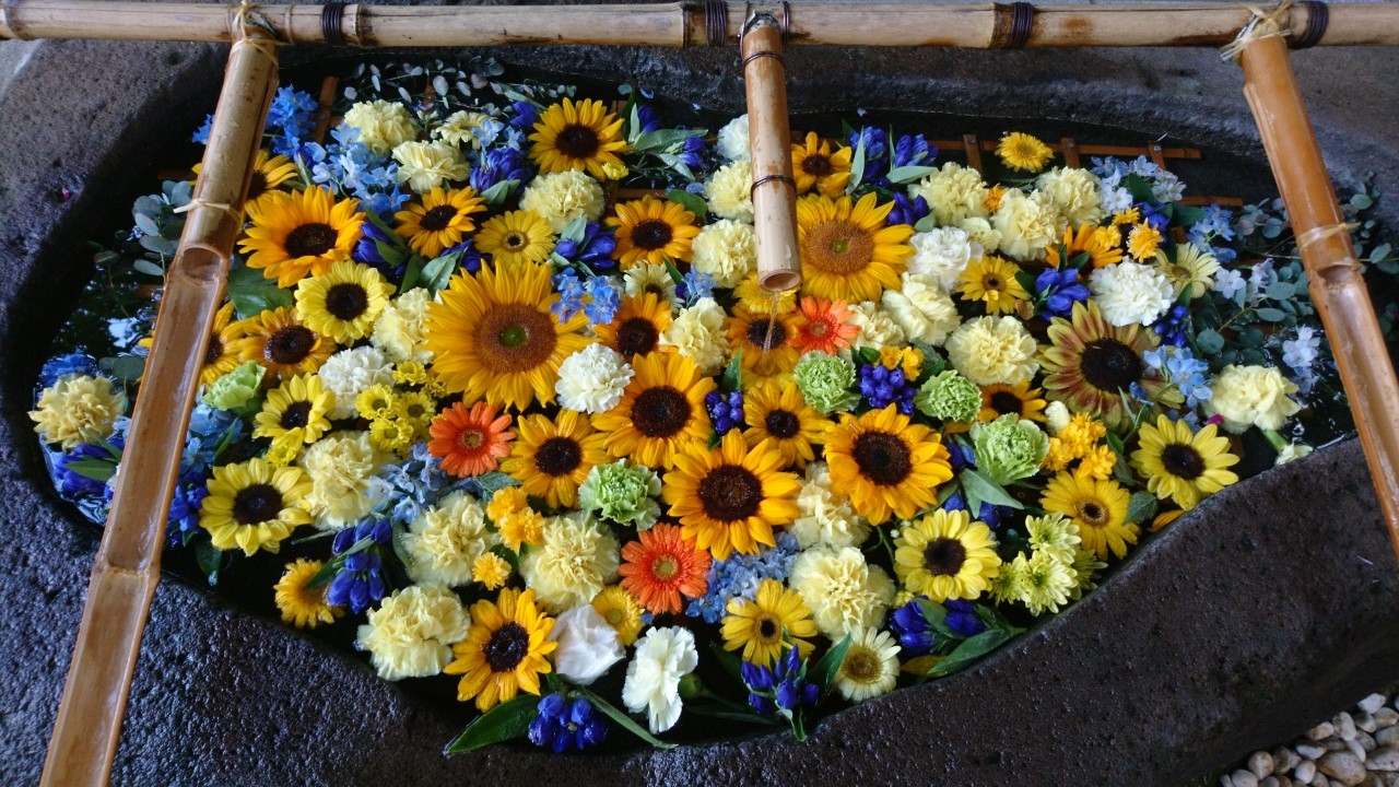 花詣 千歳 北広島 花手水２１ 千歳 新千歳空港 北海道 の旅行記 ブログ By ゆりりんさん フォートラベル