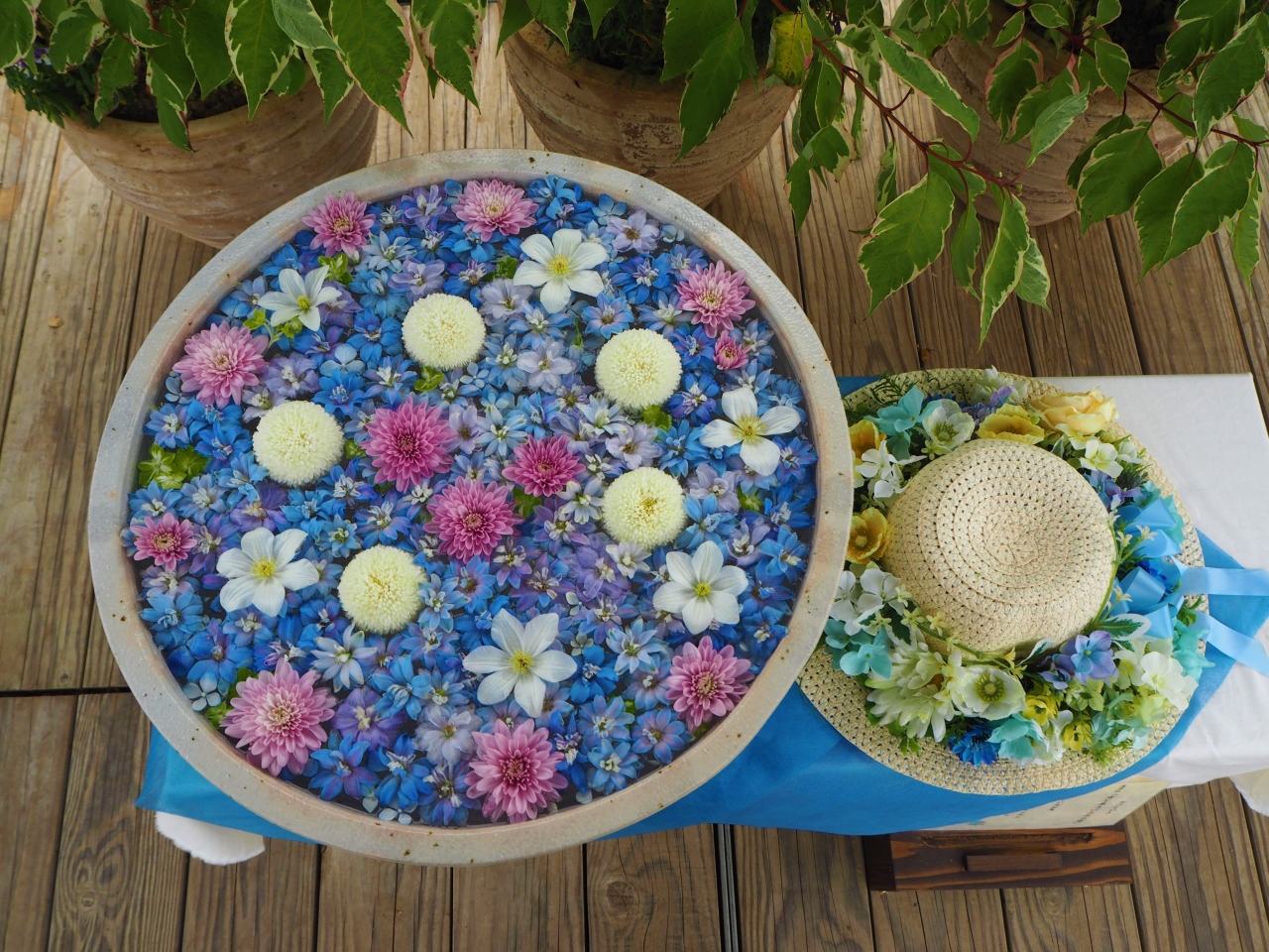 花手水巡り 初めての試み あしかがフラワーパークの花手水もとても綺麗だった 足利 栃木県 の旅行記 ブログ By かおニャンさん フォートラベル 花手水巡り 初めての試み あしかがフラワーパークの花手水もとても綺麗だった 足利 栃木県 の旅行記 ブログ By かおニャンさん フォートラベル