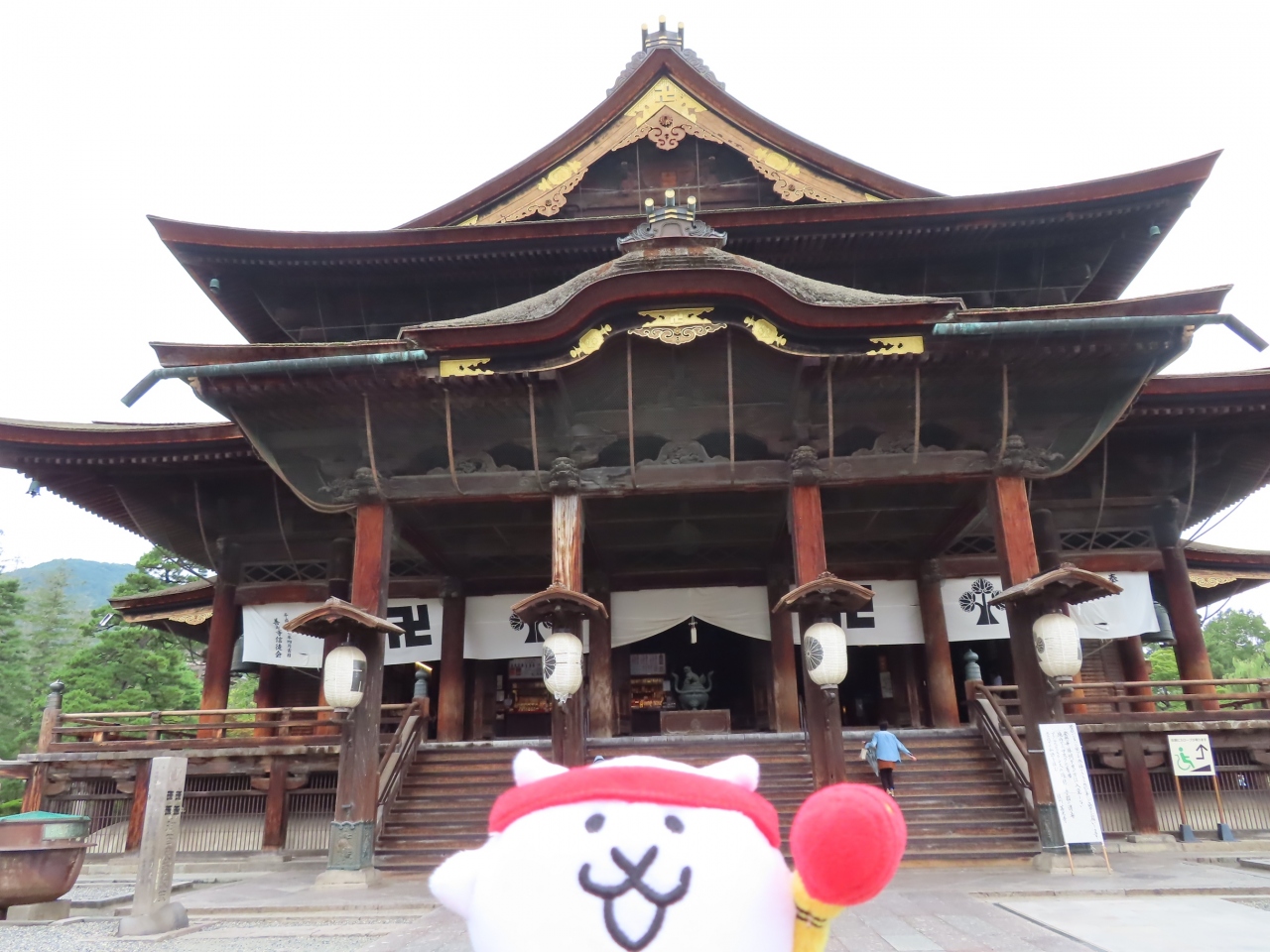 長野に行ってきたにゃ 善光寺 軽井沢あそびの森 ３日目 軽井沢 長野県 の旅行記 ブログ By 旅にゃんこさん フォートラベル