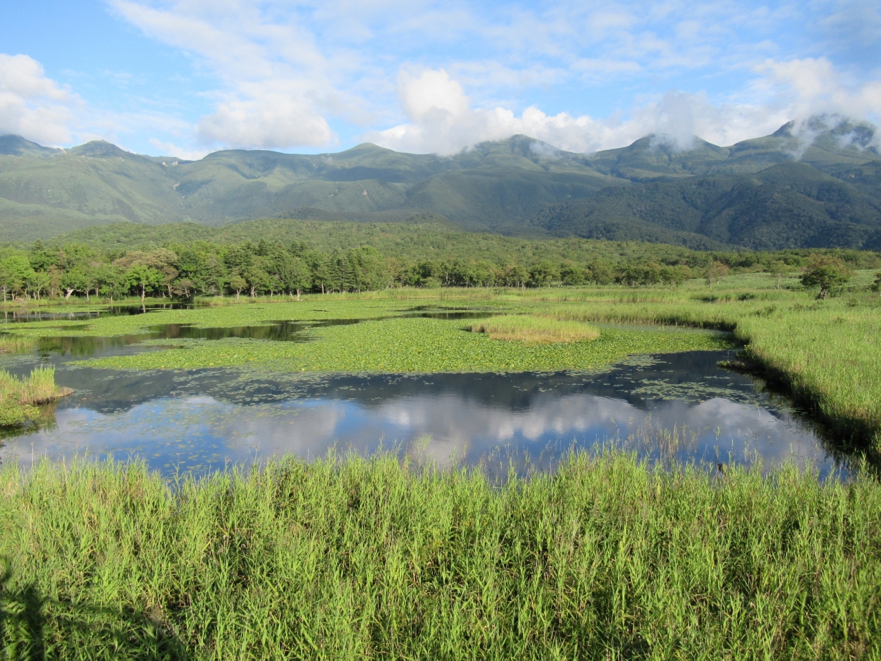 北海道の旅のハイライトは 知床高架木道!道東の大自然は何よりも心を癒してくれました。