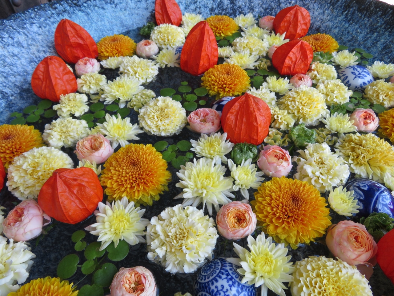 行田市の花手水week 2021 行田 羽生 加須 埼玉県 の旅行記 ブログ By Takekoさん フォートラベル 行田市の花手水week 2021 行田 羽生 加須 埼玉県 の旅行記 ブログ By Takekoさん フォートラベル