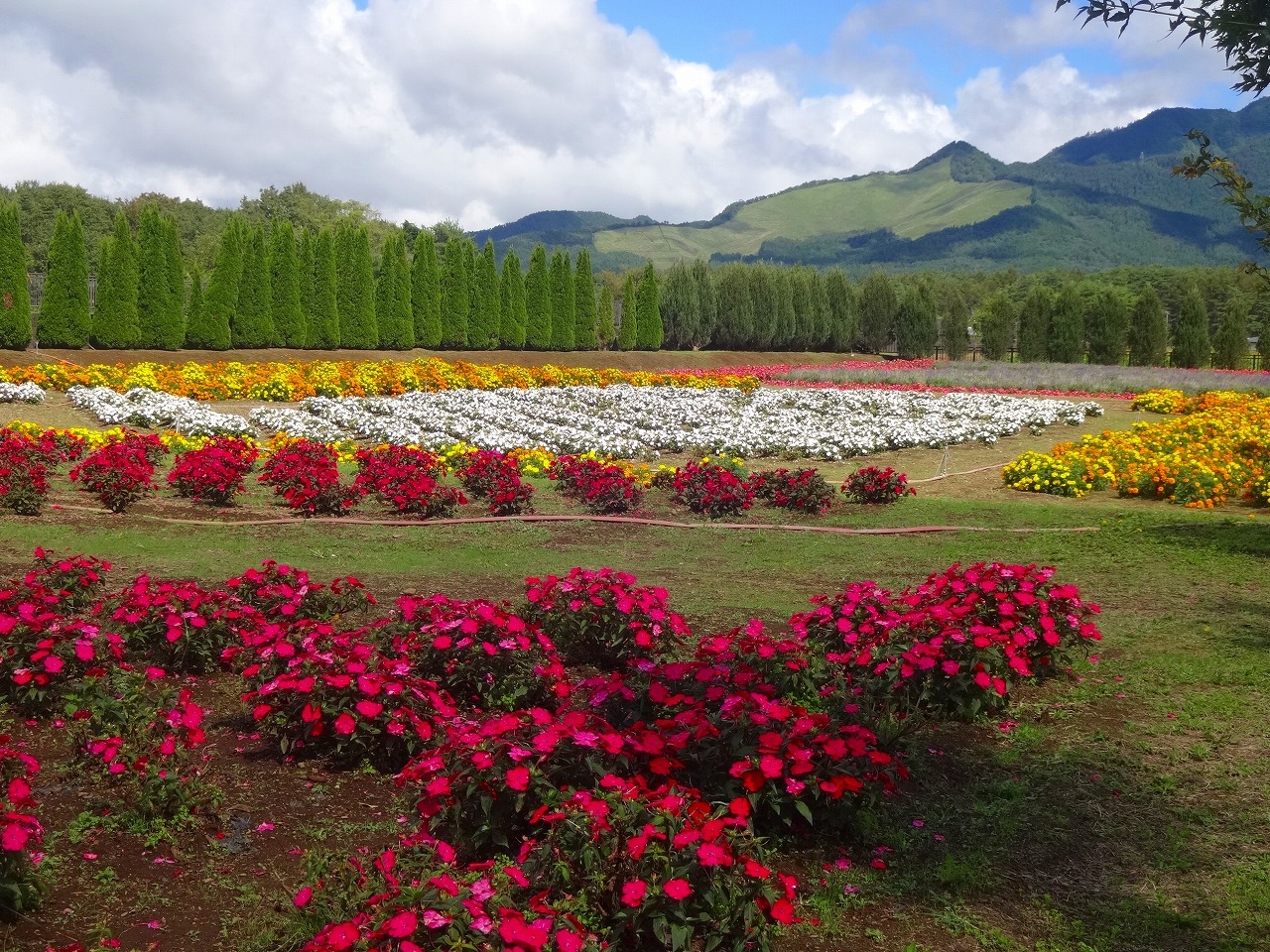 台風の中の誕生日プレゼント旅行 富士五湖 山梨県 の旅行記 ブログ By Norisaさん フォートラベル 台風の中の誕生日プレゼント旅行 富士五湖 山梨県 の旅行記 ブログ By Norisaさん フォートラベル