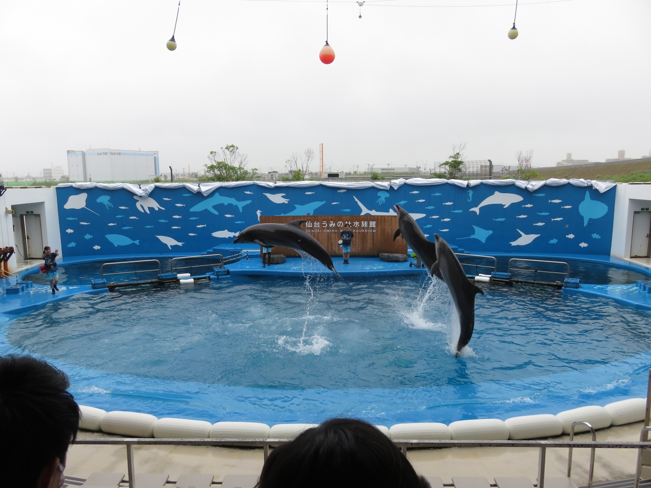 21aug Jr東日本ダイナミックレールパックで行く宮城家族旅 4 仙台観光地巡り ニ 仙台 宮城県 の旅行記 ブログ By じょーさん フォートラベル