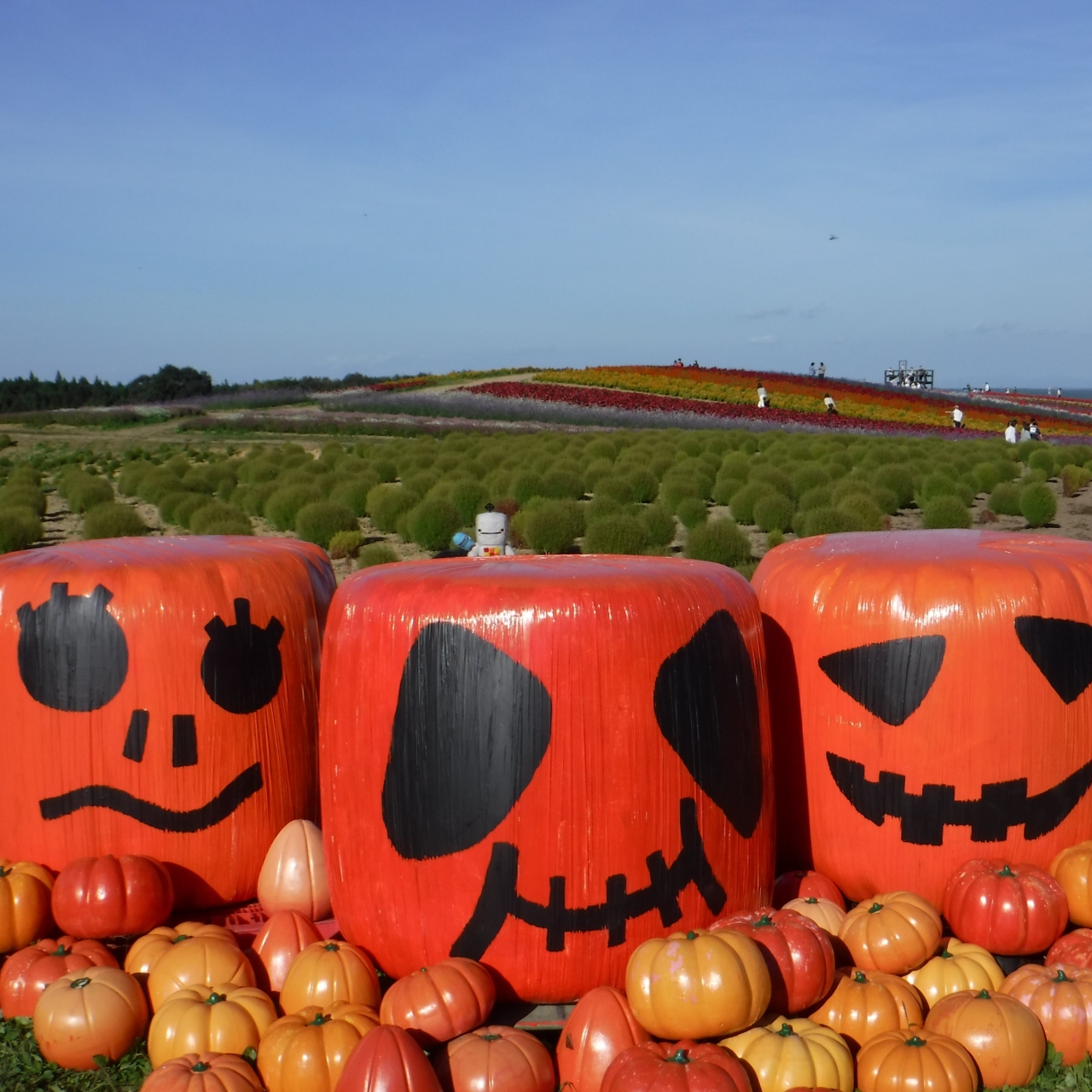やくらいガーデンの蕎麦とお花畑とハロウィン 古川 大崎 加美 宮城県 の旅行記 ブログ By Kaitoさん フォートラベル