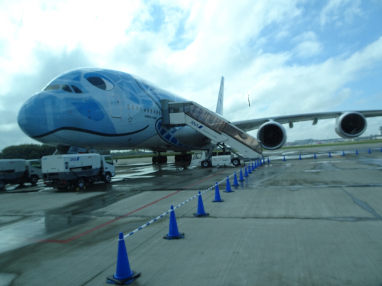 レストランflyinghonuで機内食を楽しむ 成田 千葉県 の旅行記 ブログ By Mr Graymanさん フォートラベル