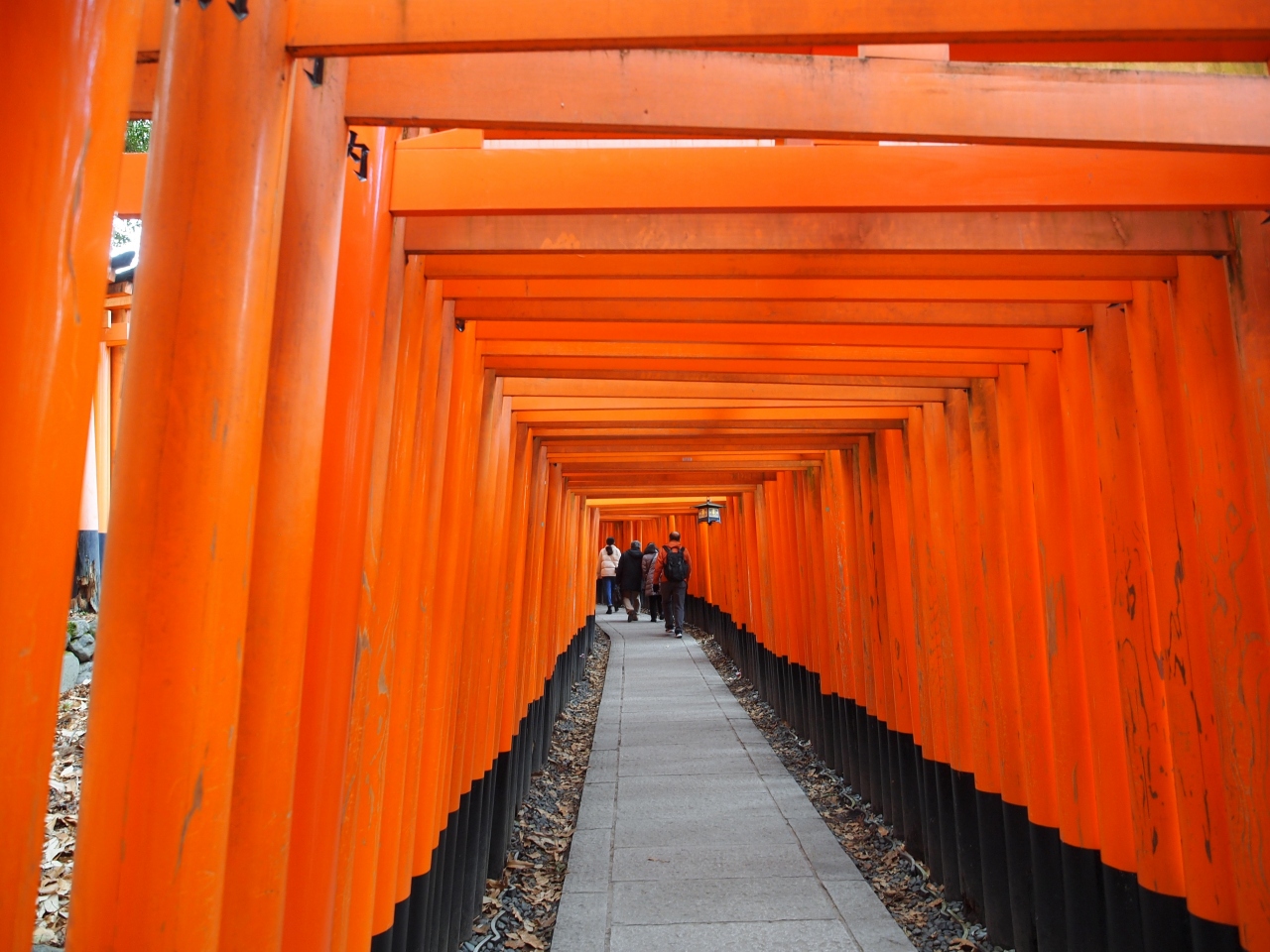年真冬の京都の旅１日目 1 伏見稲荷 おやま してみました 一の鳥居 奥の院 伏見神寳神社 熊鷹社 四ツ辻 伏見 京都 の旅行記 ブログ By 三峯霧美さん フォートラベル