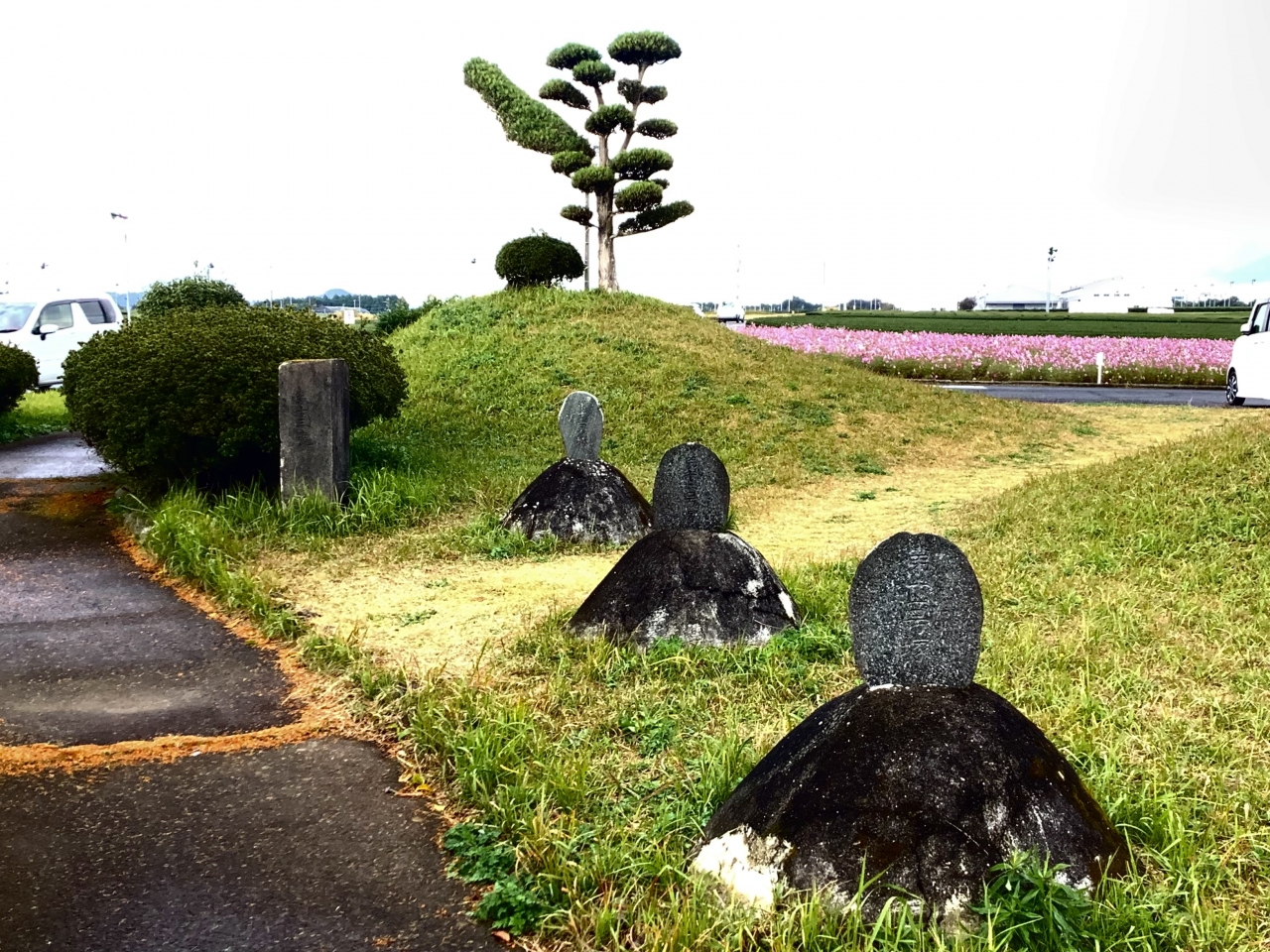 十三塚史跡公園のコスモスを見てみた 姶良 加治木 鹿児島県 の旅行記 ブログ By あーちゃんさん フォートラベル