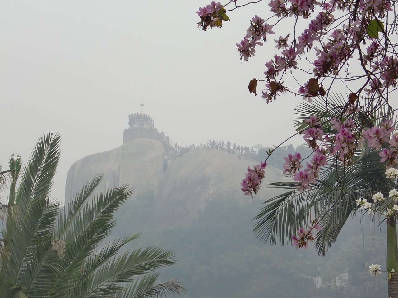 3 コロンス島3日目 厦門 中国 の旅行記 ブログ By Dwarf156cmさん フォートラベル