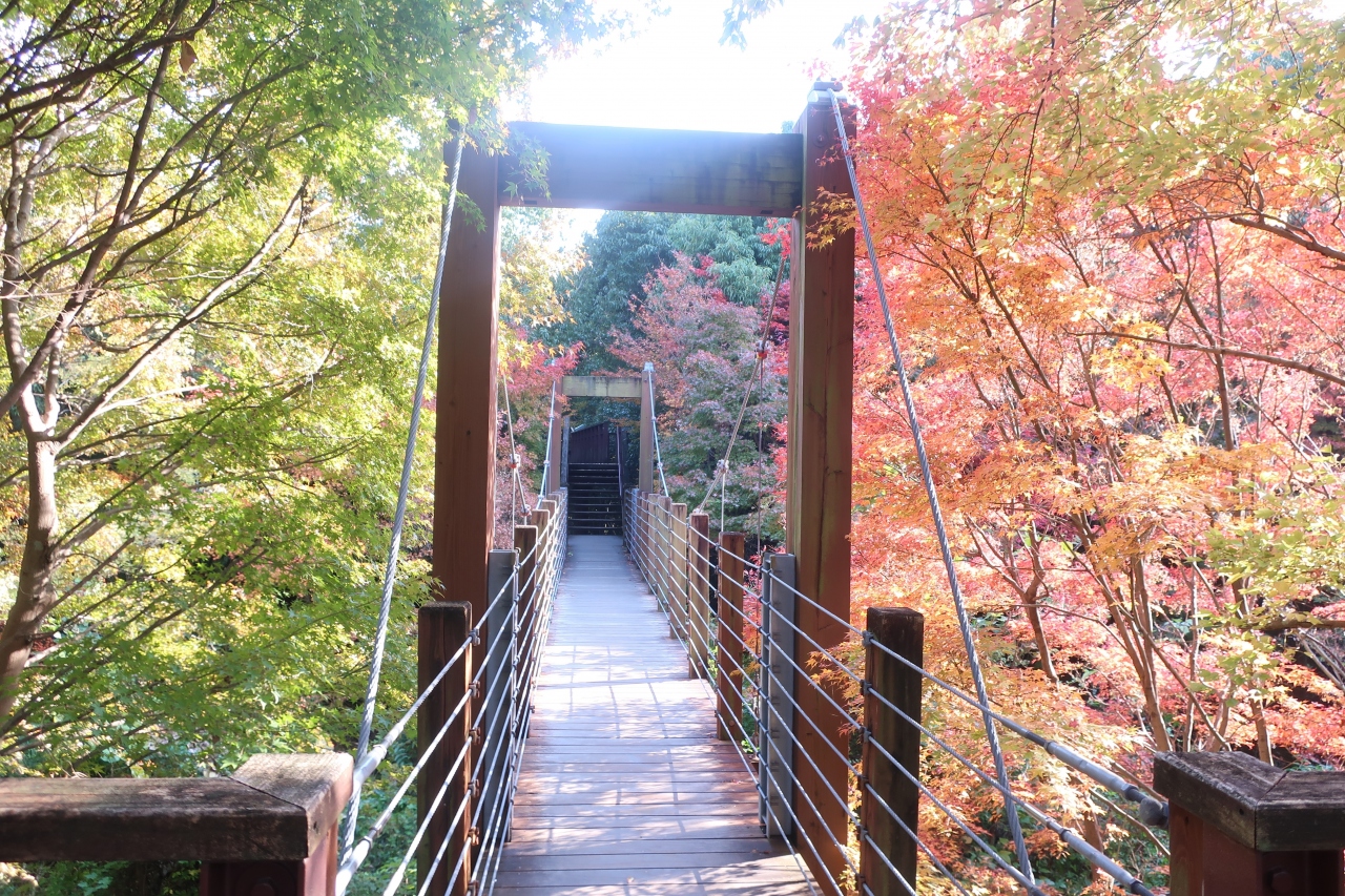 万博記念公園 紅葉 21 吹田 万博公園 大阪 の旅行記 ブログ By めぇさん フォートラベル