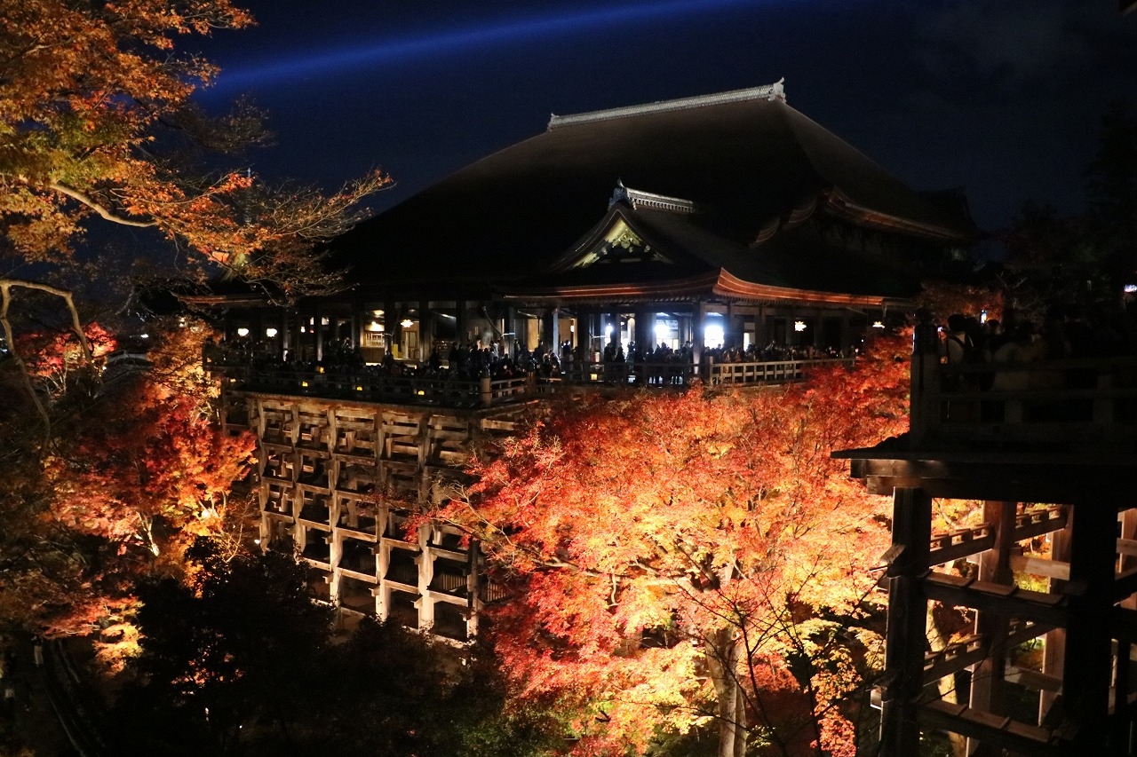 21年京都の紅葉巡り その２ 二条城と清水寺の夜景 東山 祇園 北白川 京都 の旅行記 ブログ By 旅好き長さんさん フォートラベル