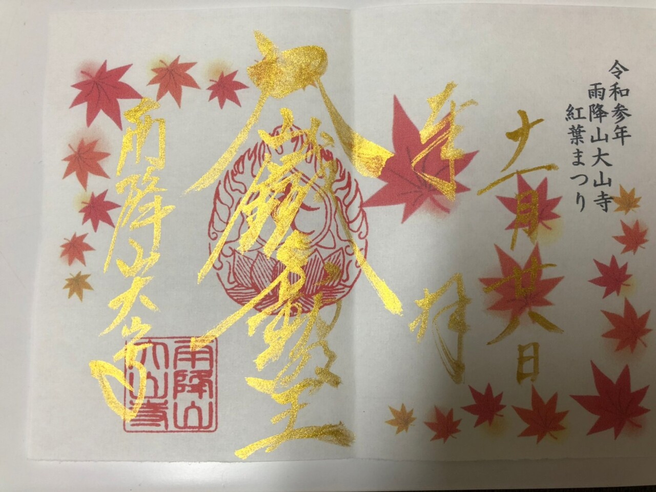 秋旅 紅葉ライトアップと大山詣で 丹沢 大山 神奈川県 の旅行記 ブログ By Nyanzoさん フォートラベル