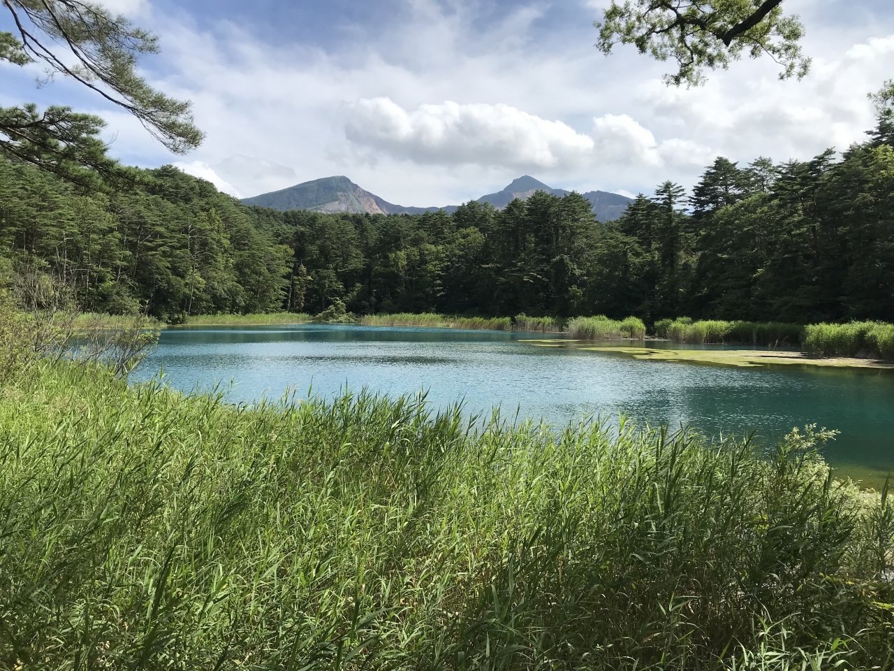 目指せ お盆に格安旅行 ふたつの五色沼 ４ ５日目 裏磐梯 猫魔 福島県 の旅行記 ブログ By Napaさん フォートラベル