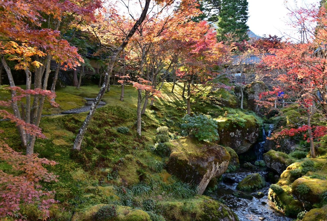 紅葉の季節に箱根の名所を巡る旅 Part 3 大涌谷を越え 強羅 箱根美術館 神仙郷 へ 強羅温泉 神奈川県 の旅行記 ブログ By 葵さん フォートラベル