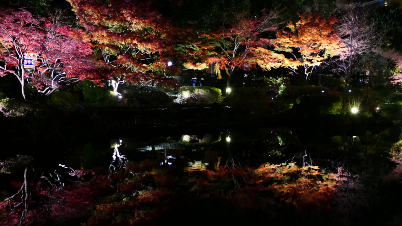 横浜公園ライトアップ 横浜ベイエリア冬の花火 横浜 神奈川県 の旅行記 ブログ By 琉球熱さん フォートラベル