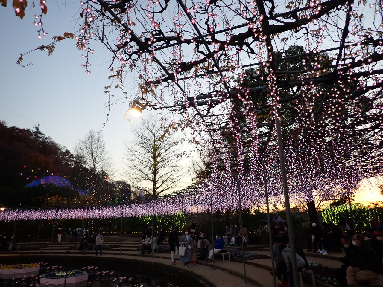 21年 12月 妹家族と一緒にお泊り旅行 前編 佐野 あしかがフラワーパーク 宇都宮に宿泊 栃木県の旅行記 ブログ By Chiikoさん フォートラベル