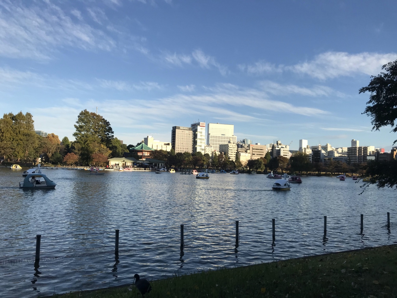 上野公園 訪問 上野 御徒町 東京 の旅行記 ブログ By 株式会社優心旅行さん フォートラベル 上野公園 訪問 上野 御徒町 東京 の旅行記 ブログ By 株式会社優心旅行さん フォートラベル