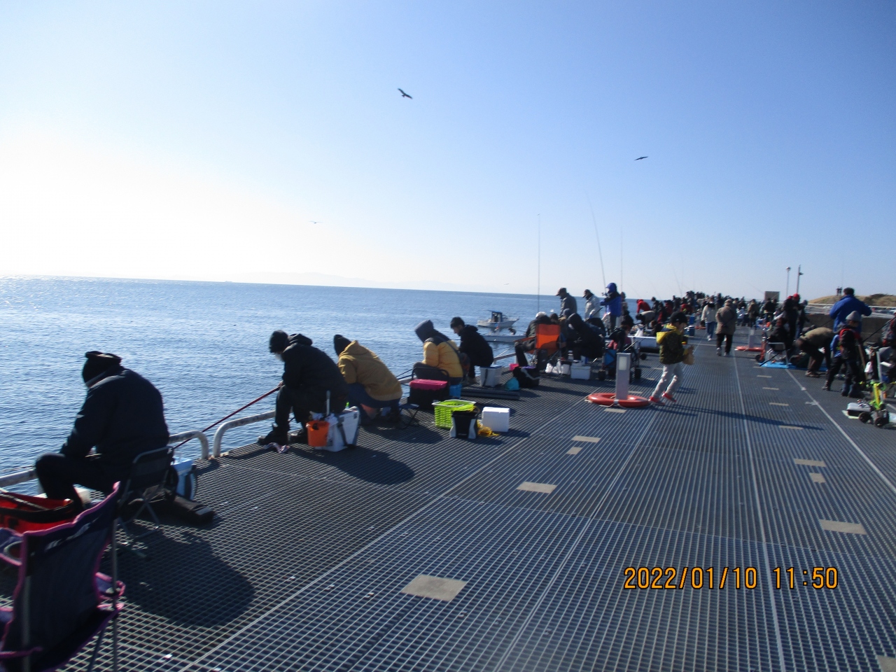 豊浜釣り桟橋1月 うわさ通りの混み具合 内海 南知多 愛知県 の旅行記 ブログ By さいちゃんさん フォートラベル 豊浜釣り桟橋1月 うわさ通りの混み具合 内海 南知多 愛知県 の旅行記 ブログ By さいちゃんさん フォートラベル