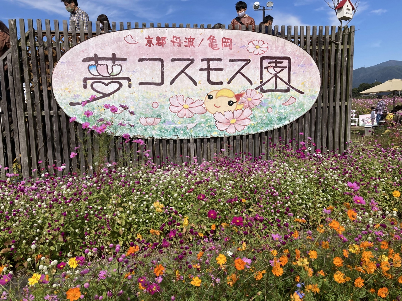 とある休日の出来事 関西編ver 38 亀岡夢コスモス園 稗田野神社 亀岡 京都 の旅行記 ブログ By まつじゅんさん フォートラベル
