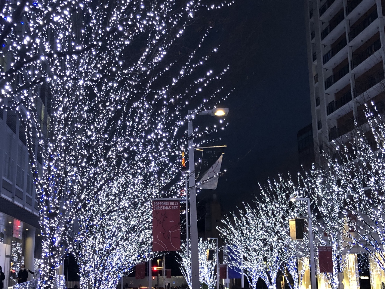 イルミネーションからのトラブル 銀座 有楽町 日比谷 東京 の旅行記 ブログ By さるさん フォートラベル