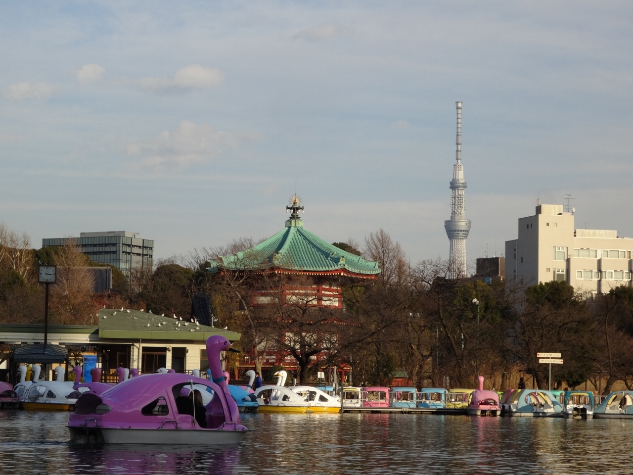 上野公園と不忍池のボートで0密リフレッシュ 親子で東京往復記22年1月編その2 上野 御徒町 東京 の旅行記 ブログ By ちゃんさん フォートラベル 上野公園と不忍池のボートで0密リフレッシュ 親子で東京往復記22年1月編その2 上野 御徒町 東京 の旅行記 ブログ By ちゃんさん フォートラベル
