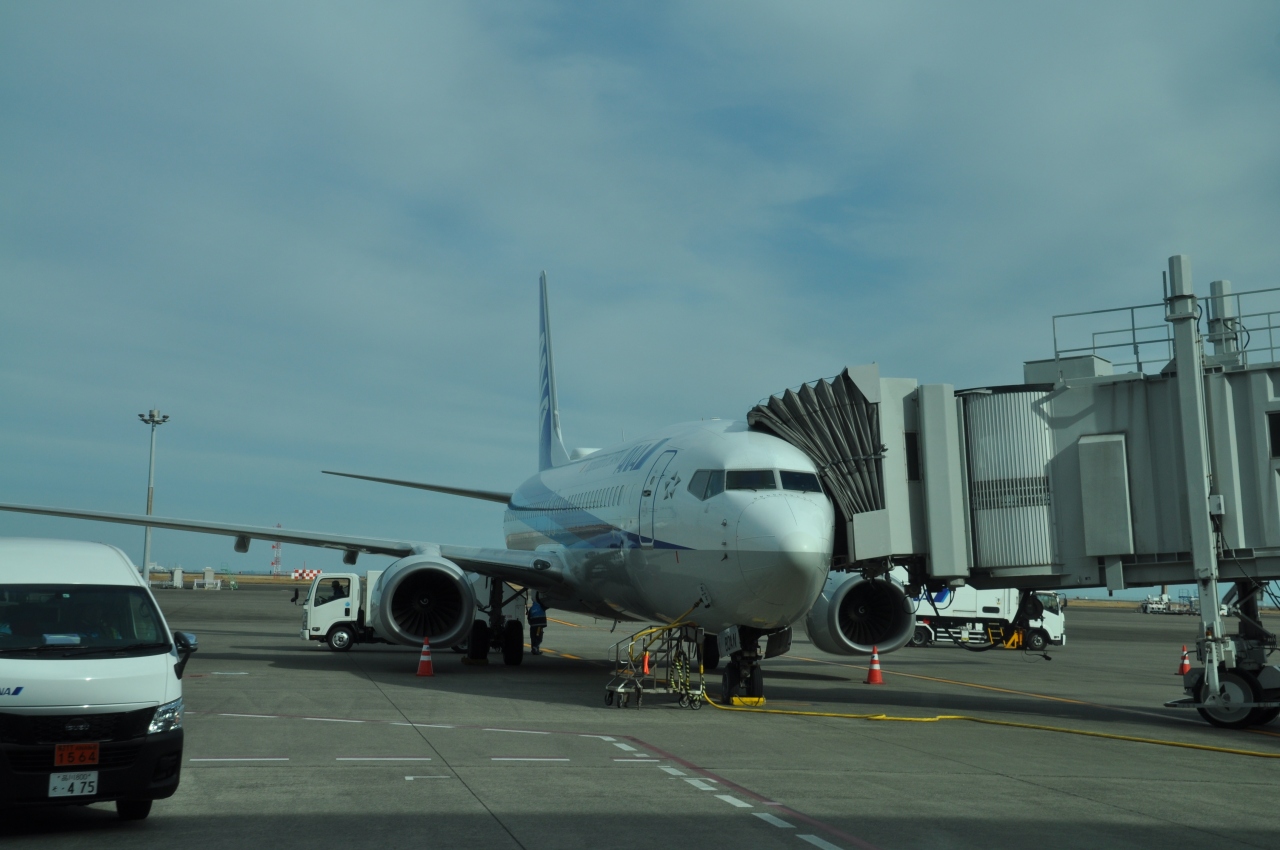 22年1月空分補給の旅1 Ana316便で羽田空港へ 東京の旅行記 ブログ By Koreanrailfanさん フォートラベル
