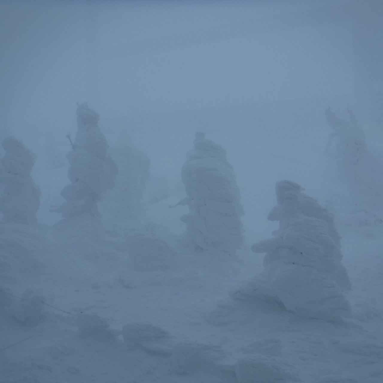 山形蔵王に樹氷 スノーモンスター 見に行ったら ホワイトアウトだった件 蔵王温泉 山形県 の旅行記 ブログ By Kaitoさん フォートラベル