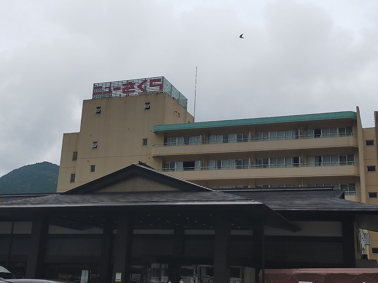 伊東園ホテルズが気に入ったので 今度は鬼怒川温泉 伊東園ホテルニューさくら へ宿泊 お宿編 鬼怒川温泉 栃木県 の旅行記 ブログ By たびっこさん フォートラベル