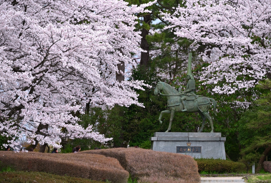 19さくらの名所を巡る旅 北陸編 ２ 広大な水濠に囲まれた高岡古城公園へ 高岡 富山県 の旅行記 ブログ By 葵さん フォートラベル