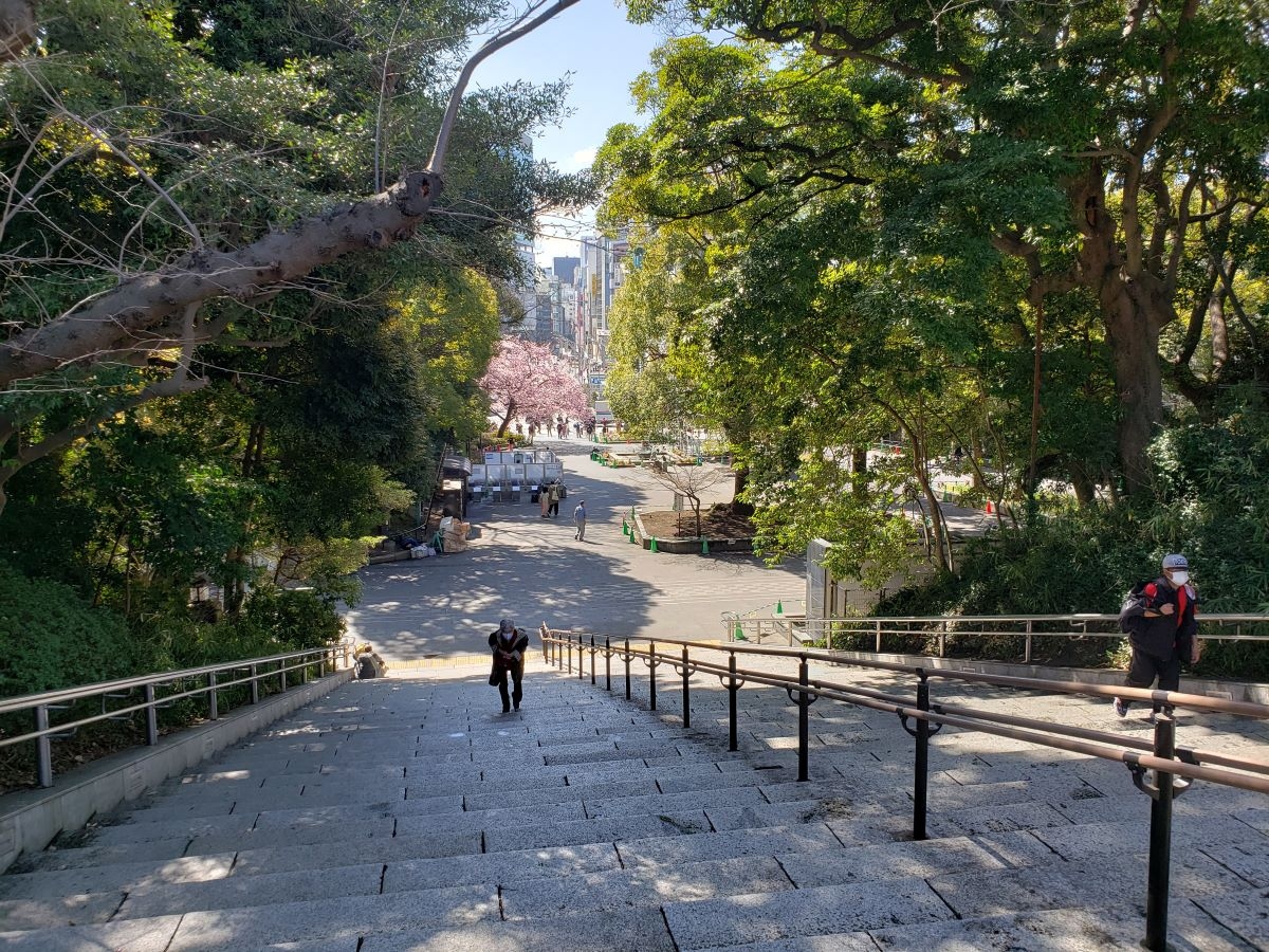 春の上野公園 上野 御徒町 東京 の旅行記 ブログ By アトムさん フォートラベル