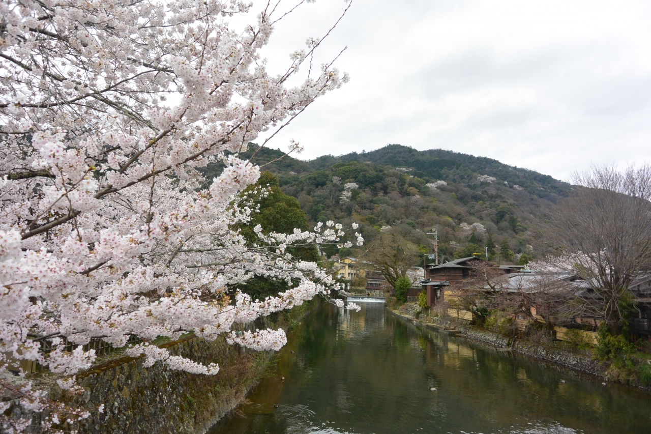 嵐山の桜を見に行ってきました 嵐山 嵯峨野 太秦 桂 京都 の旅行記 ブログ By みーみさん フォートラベル
