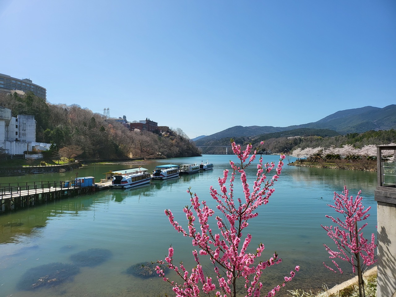 桜の恵那峡 恵那 岐阜県 の旅行記 ブログ By ハートネッツさん フォートラベル