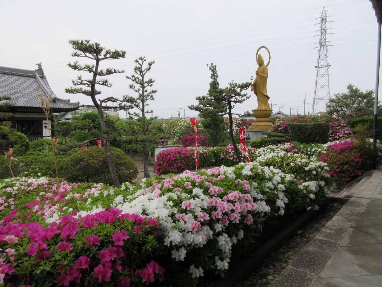 つつじの名所 河内の法雲禅寺 堺 大阪 の旅行記 ブログ By Nakacyanさん フォートラベル