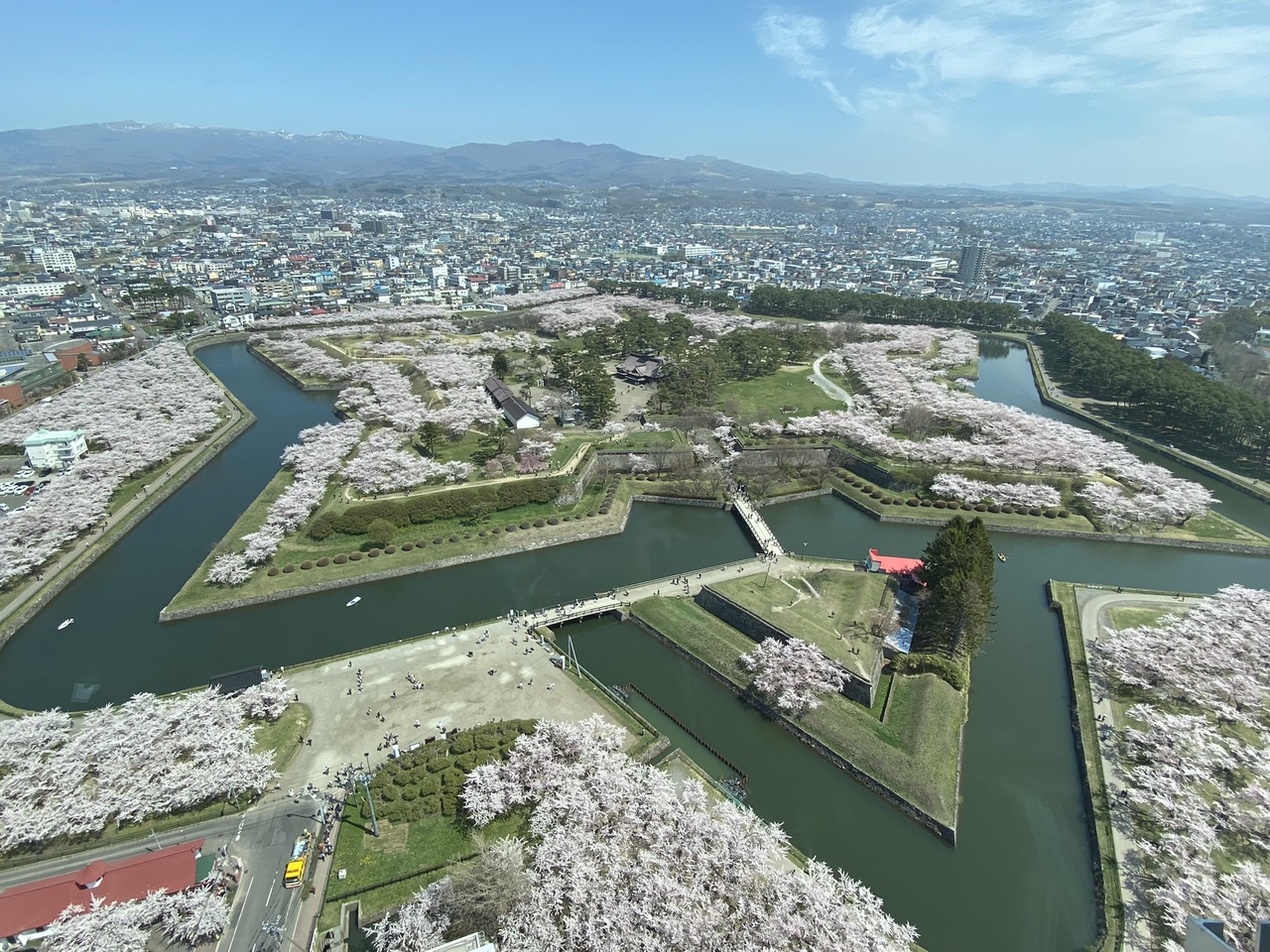 函館二泊三日満開の桜と食い倒れ 北海道の旅行記 ブログ By Ninpenmanmaru あおいさん フォートラベル